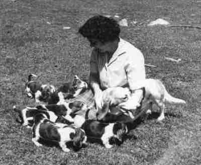 Marian Tait with our first litter in 1960