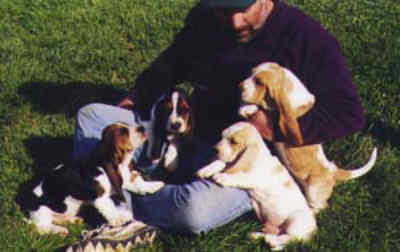 John Tait with a litter of Basset puppies