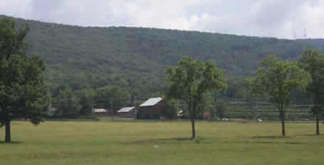 Tait's Basset farm